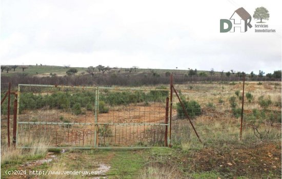 Solar en venta en Cáceres (Cáceres)