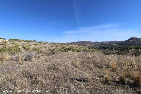 Finca en venta en Pizarra (Málaga)