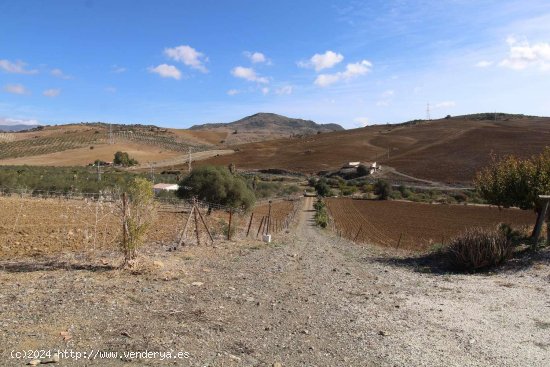 Finca en venta en Álora (Málaga)