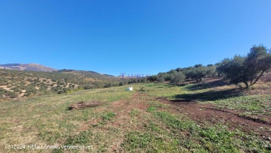 Villa en venta en Riogordo (Málaga)