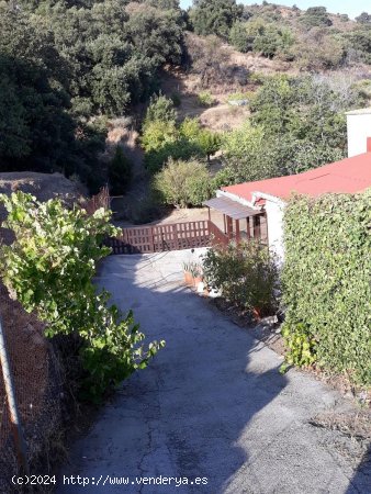  Villa en venta en Estepona (Málaga) 