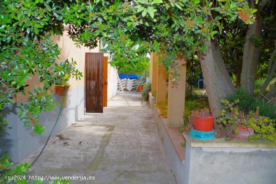  Finca rústica con casa de campo con cédula de habitabilidad en Sineu - BALEARES 