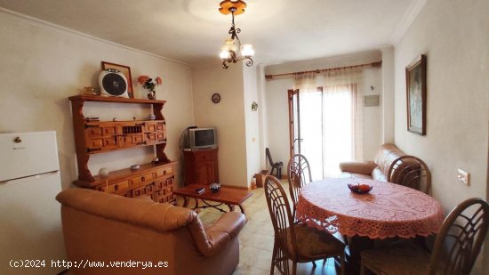 Apartamento en venta en Torrevieja (Alicante)