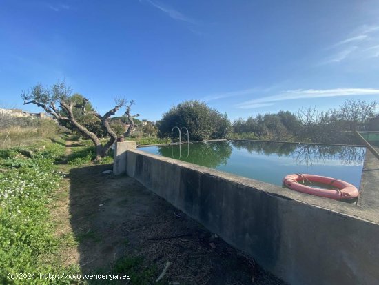  Finca en venta en Les Borges del Camp (Tarragona) 