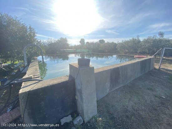 Finca en venta en Les Borges del Camp (Tarragona)