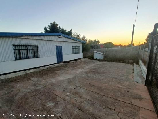  CASA DE CAMPO EN LA RANA VERDE - CADIZ 