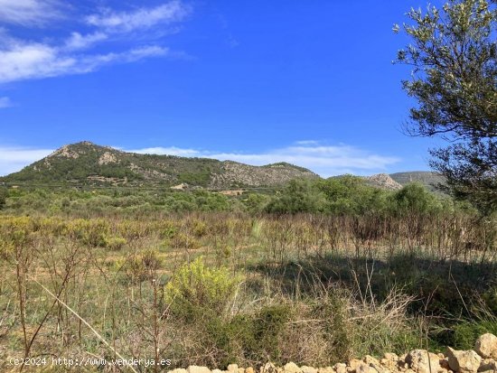 Finca en venta en Llucmajor (Baleares)