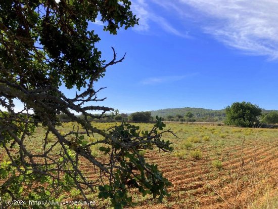 Finca en venta en Llucmajor (Baleares)