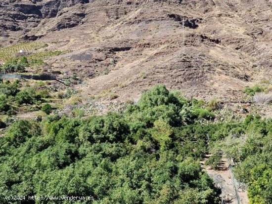  Finca para invertir en Mogán (Las Palmas) 