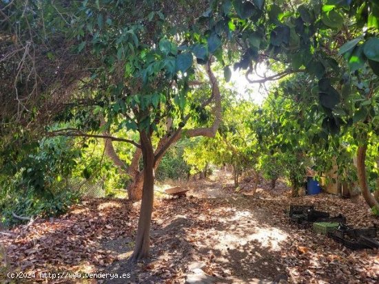 Finca para invertir en Mogán (Las Palmas)