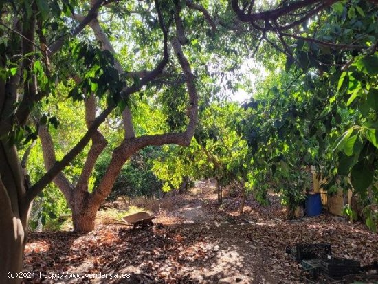 Finca para invertir en Mogán (Las Palmas)