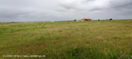 Terreno rural de 24000m2 en Sierra de Fuentes - CACERES