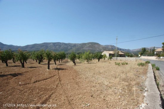 Finca en venta en Murla (Alicante)