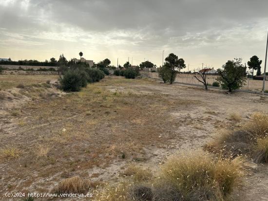 PARCELA URBANA DE 8.000M SIN SECTORIZAR - MURCIA