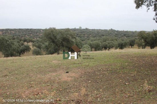 Solar en venta en Badajoz (Badajoz)