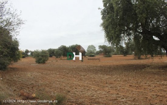 Solar en venta en Badajoz (Badajoz)