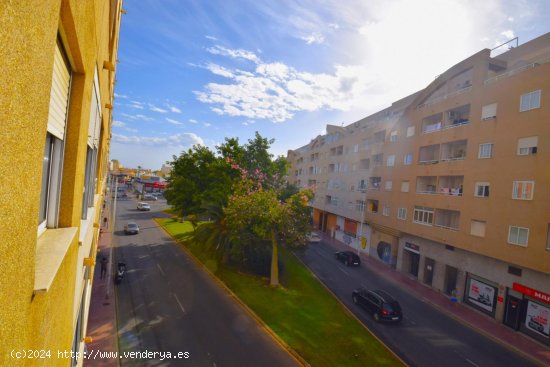 Apartamento en venta en Torrevieja (Alicante)