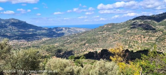 Finca en venta en Fornalutx (Baleares)