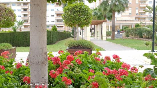  ALQUILER 4 DORMITORIOS EN TORRE ATALAYA - MALAGA 