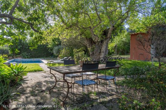 Finca rústica con piscina rodeada de naturaleza en Manacor - BALEARES