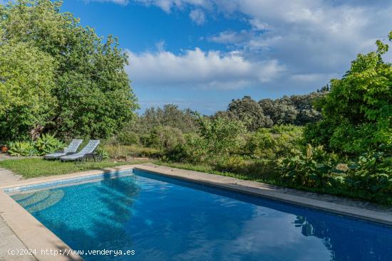 Finca rústica con piscina rodeada de naturaleza en Manacor - BALEARES