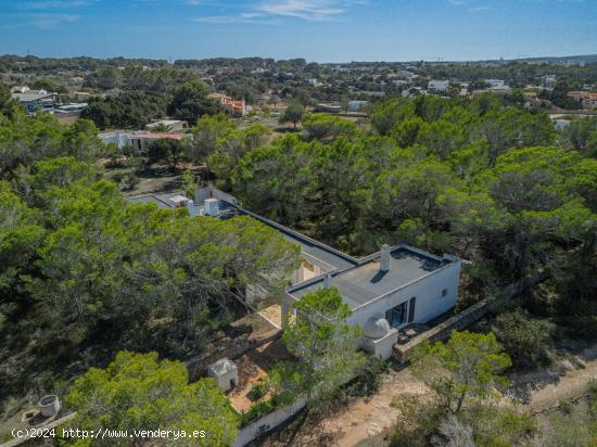 Casa rodeada de naturaleza, árboles y cerca del mar en Formentera - BALEARES