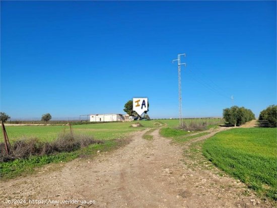 Villa en venta en La Lantejuela (Sevilla)