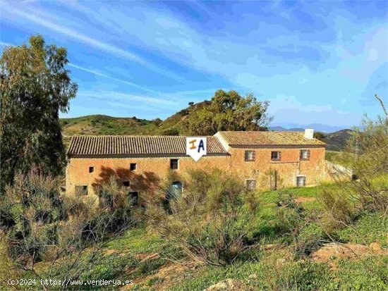 Finca en venta en Casabermeja (Málaga)