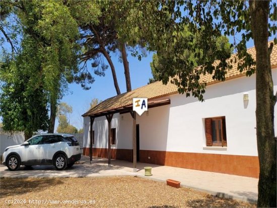  Chalet en venta en Marchena (Sevilla) 