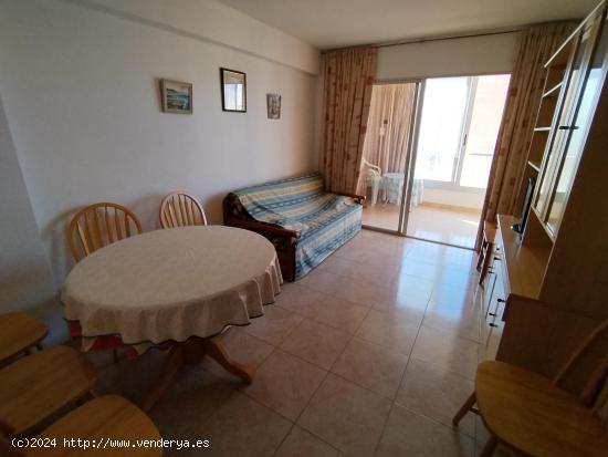  Apartamento en zona de Levante. ! dormitorio, 1 baño, planta alta. parking y piscina. - ALICANTE 