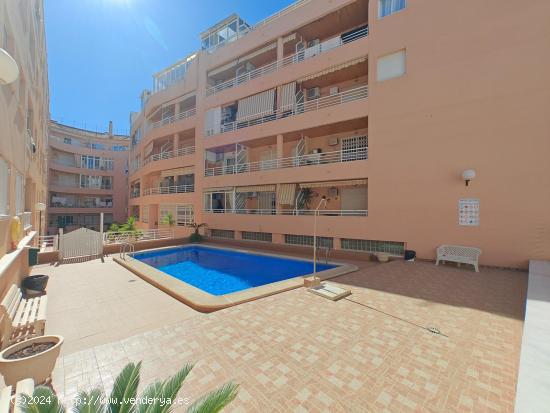  Se vende fantástico piso a 300 metros de la Playa del Cura en Torrevieja - ALICANTE 