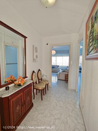 Se vende fantástico piso en el paseo marítimo de Torrevieja - ALICANTE