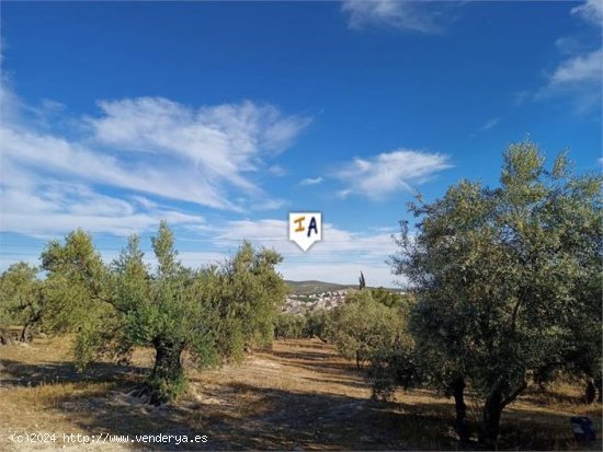 Finca en venta en Lucena (Córdoba)