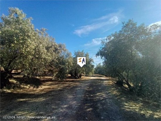 Finca en venta en Lucena (Córdoba)