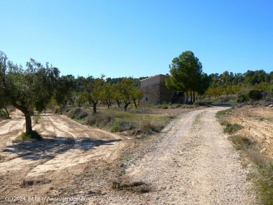 Finca en venta en Maella (Zaragoza)