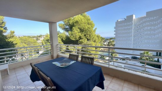  Apartamento en alquiler en Calvià (Baleares) 