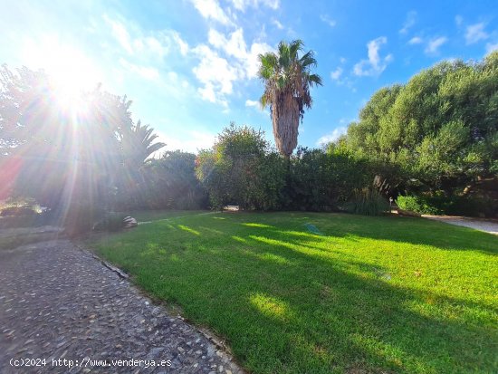 Finca en alquiler en Llucmajor (Baleares)