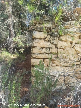 Finca en venta en Fórnoles (Teruel)