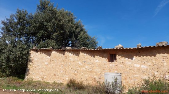 Finca en venta en Cretas (Teruel)