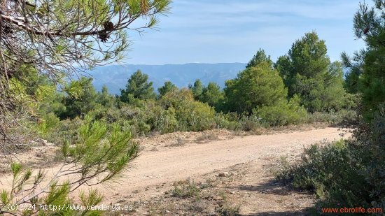 Finca en venta en Cretas (Teruel)