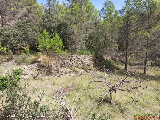 Finca en venta en Fórnoles (Teruel)