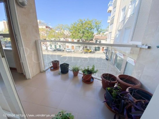 Piso en venta en Palma de Mallorca (Baleares)