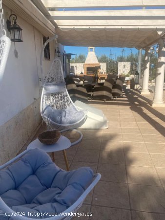 Finca en venta en Dolores (Alicante)