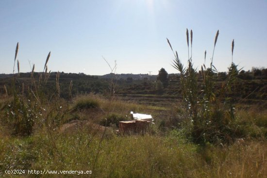 Finca en venta en Benissa (Alicante)