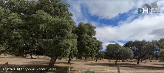  Solar en venta en Salamanca (Salamanca) 