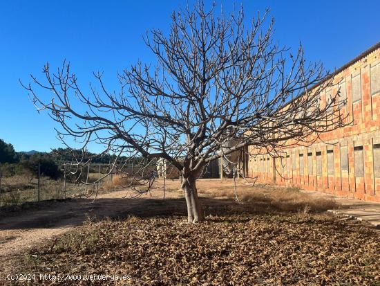 Granja en buen estado con excelente ubicación - TERUEL