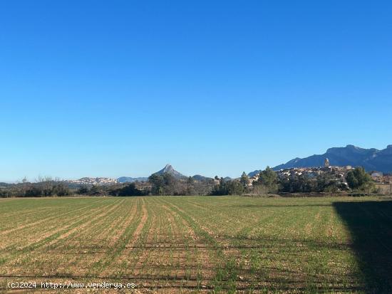 Granja en buen estado con excelente ubicación - TERUEL