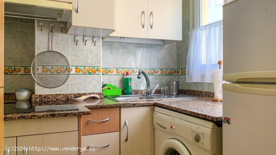 Apartamento en venta en Torrevieja (Alicante)