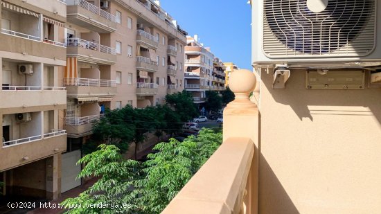 Apartamento en venta en Torrevieja (Alicante)