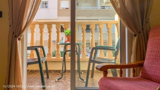 Apartamento en venta en Torrevieja (Alicante)